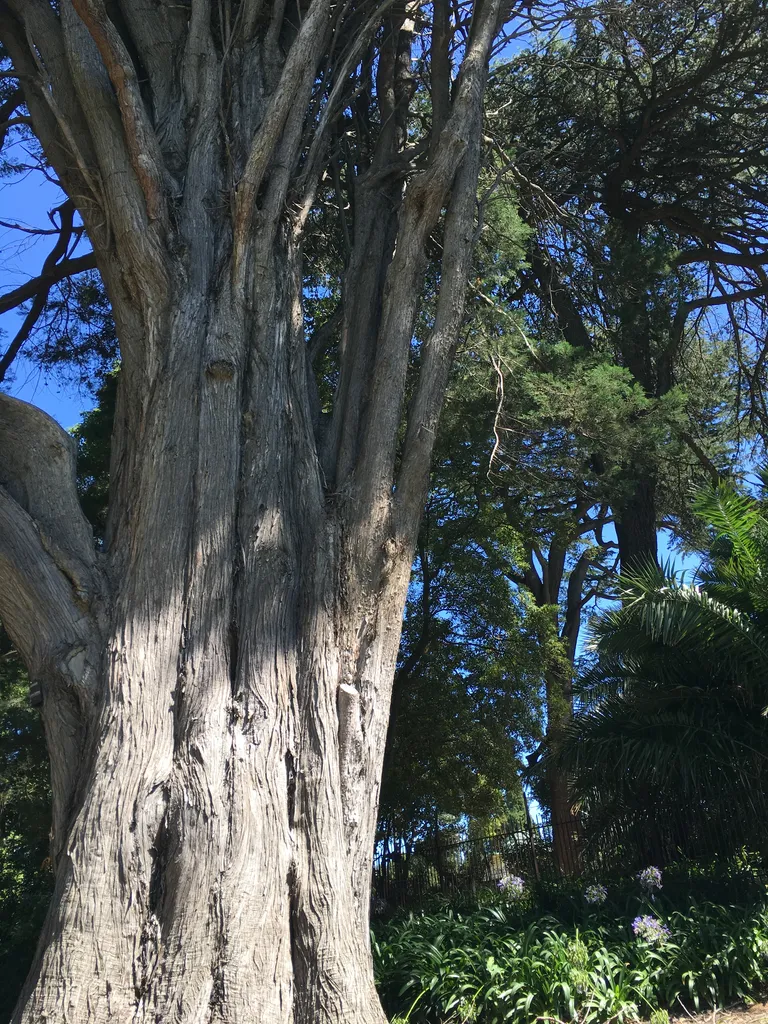 Botanical Garden
