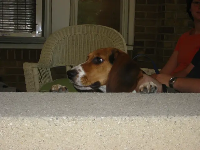 sarah!