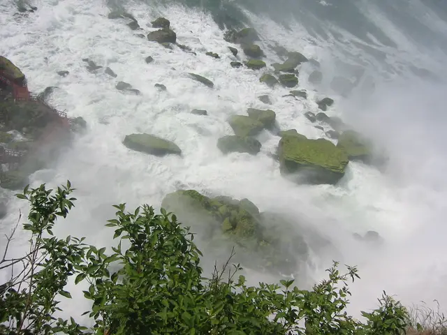 yapc::na 2004, base of the falls