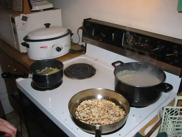 thanksgiving, 2003, The Stove