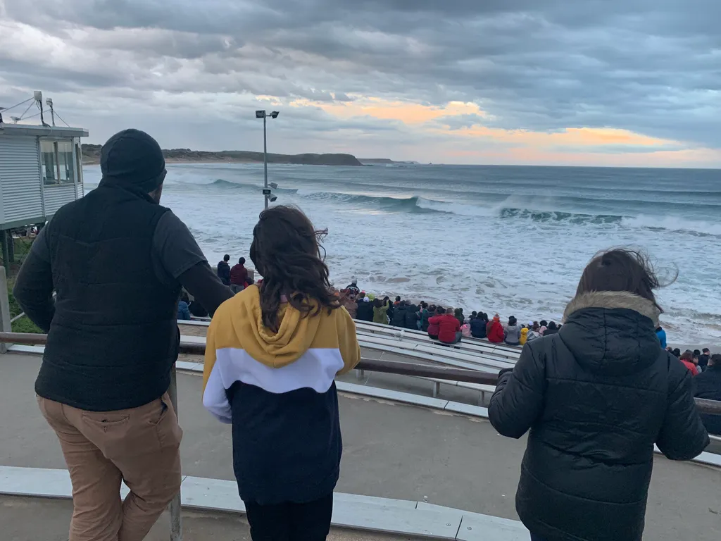 waiting for the penguins