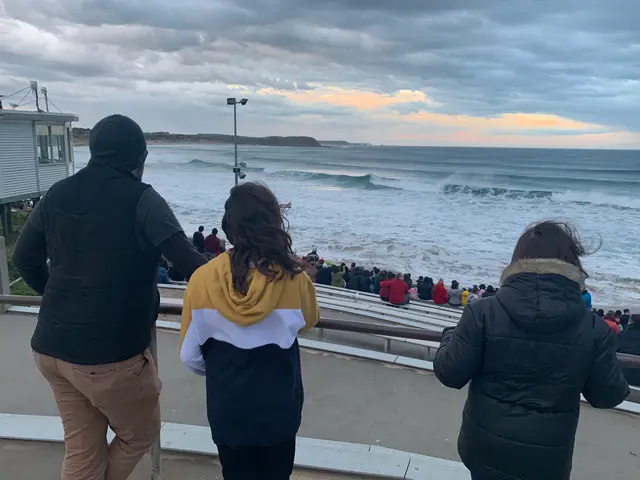 waiting for the penguins
