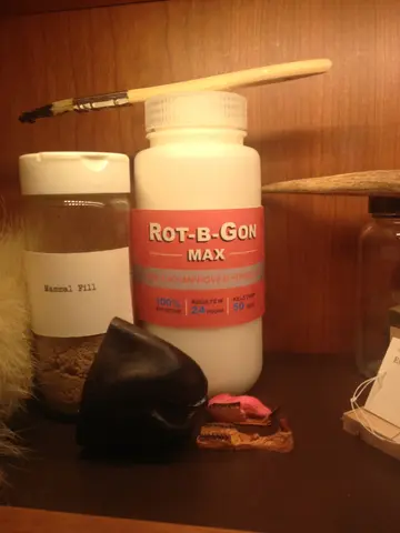 for all your zombie needs
