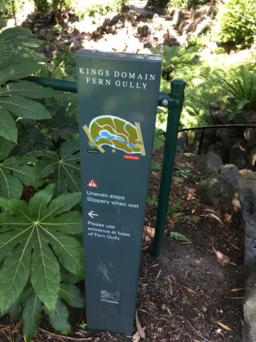 Fern Gully!