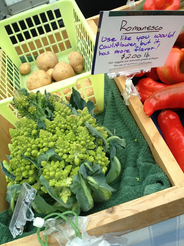 vegetable from outer space