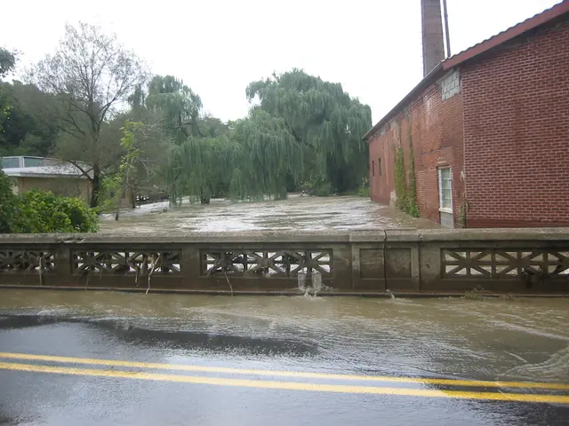 the flood, 2004, img_1872
