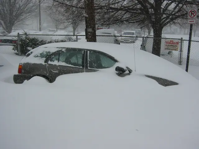 snowstorm, 2003-02, Our Car