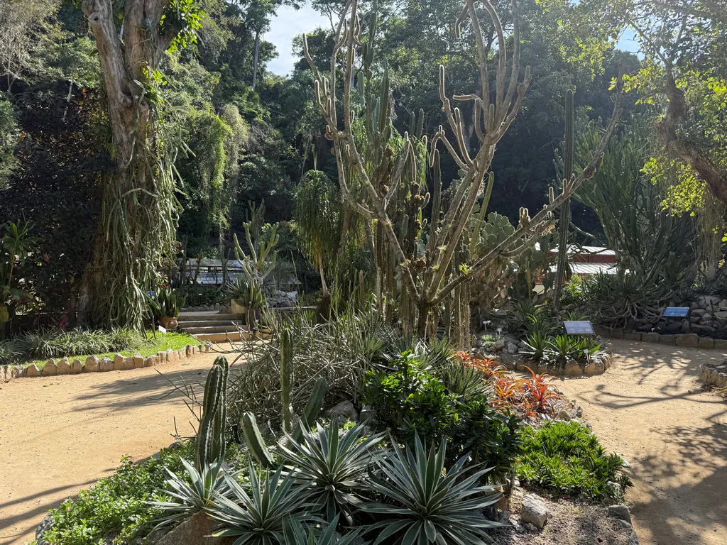 the Botanical Garden in Rio