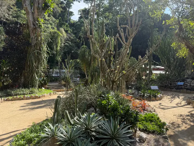 the Botanical Garden in Rio