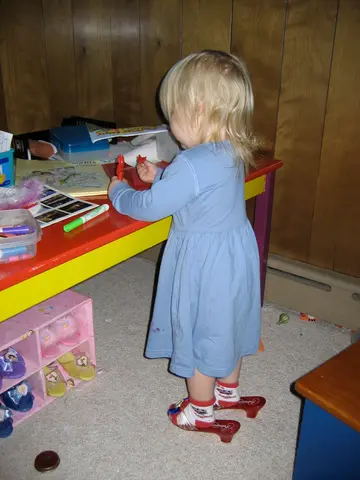 anika's present