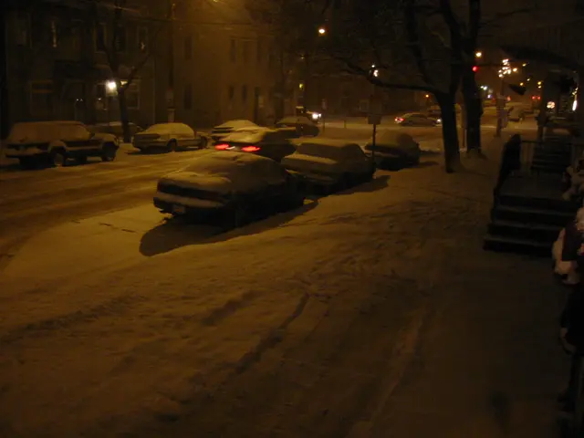 snowstorm, 2003-12, img_0996