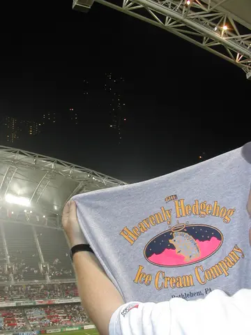 hedgehog shirt, Hong Kong