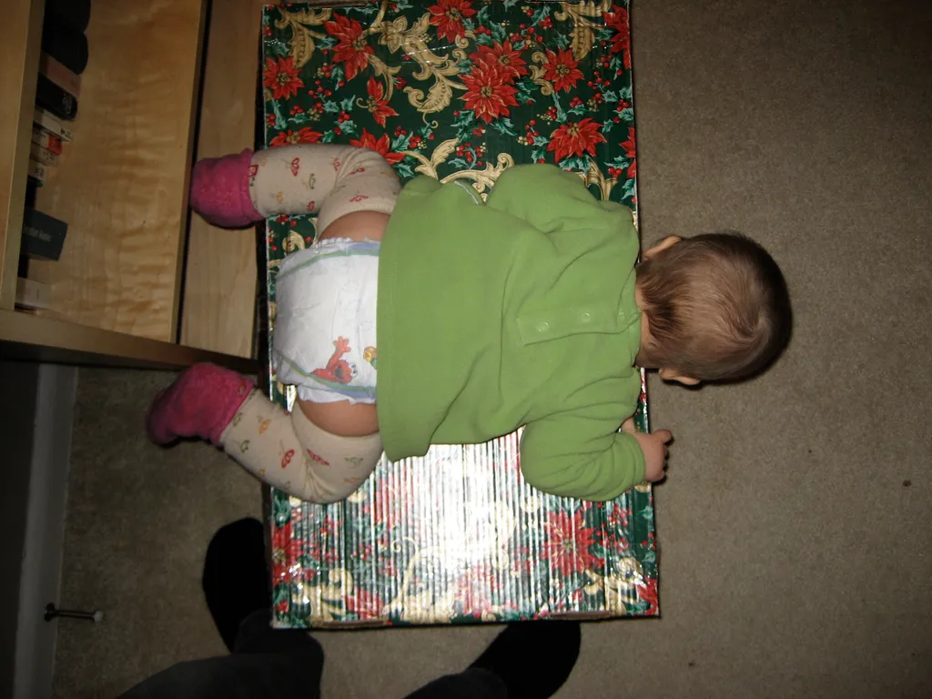 my daughter the box lover