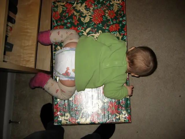 my daughter the box lover