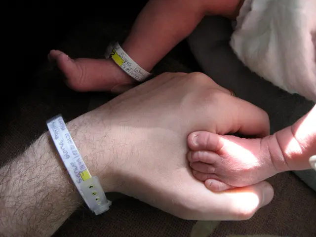 daddy and baby bands