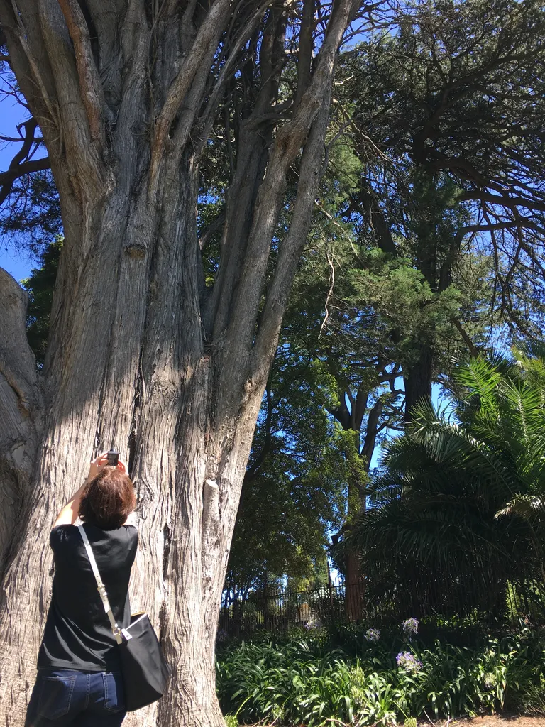 Botanical Garden