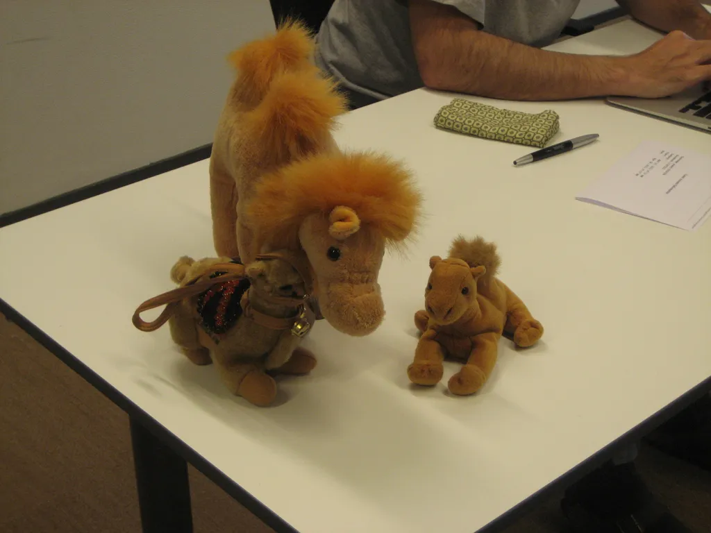 camel family reunion