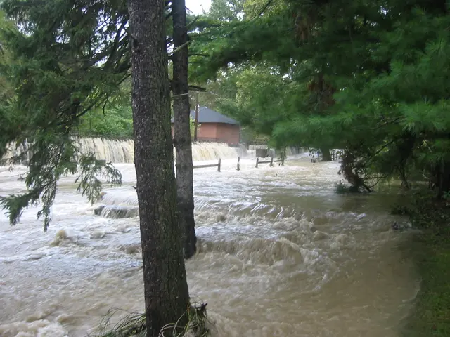 the flood, 2004, img_1856
