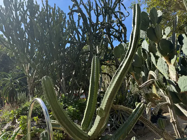 the Botanical Garden in Rio