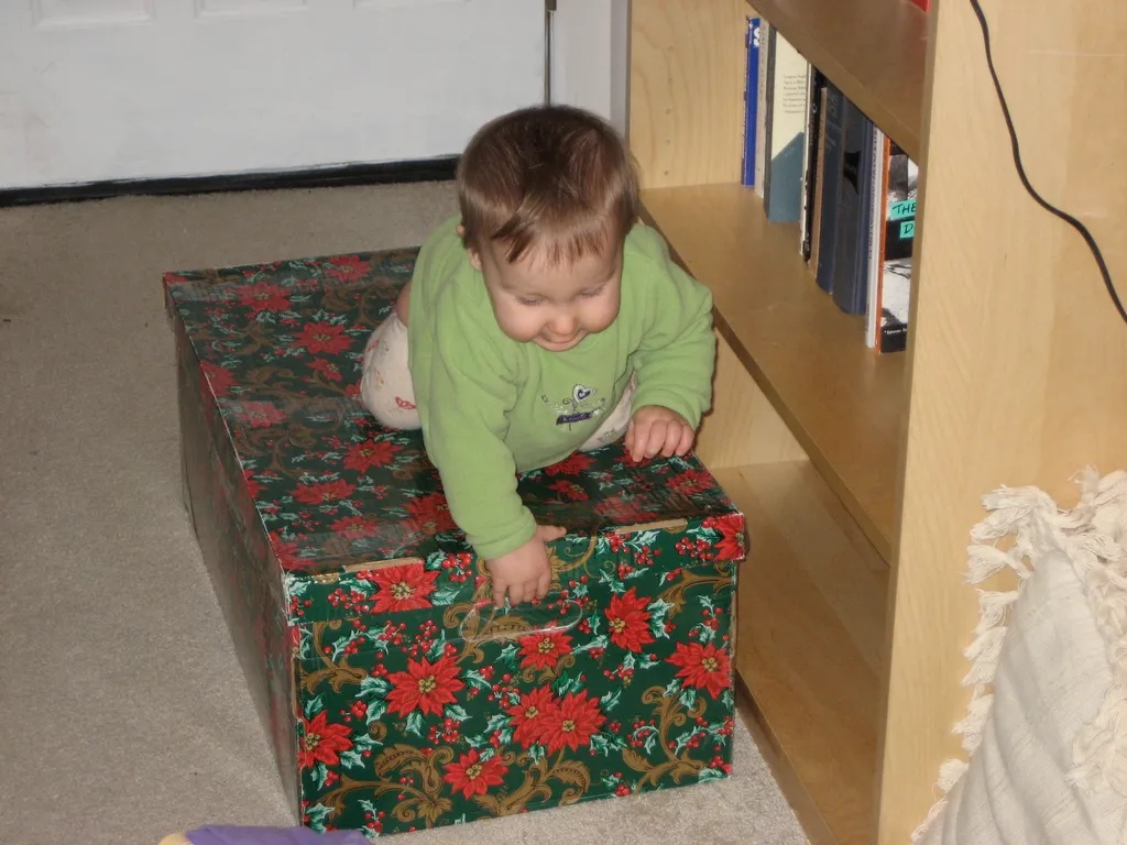 martha: box crawler