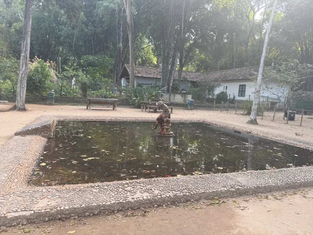 the Botanical Garden in Rio