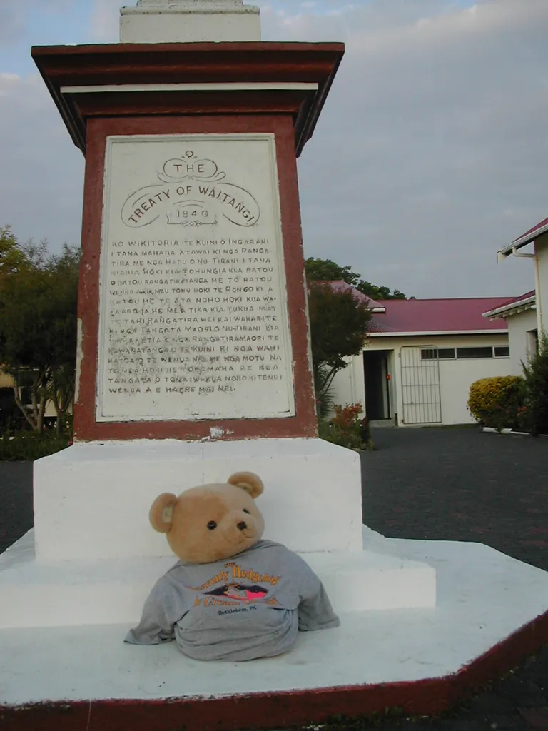 hedgehog shirt, New Zealand