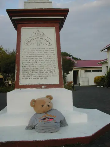 hedgehog shirt, New Zealand