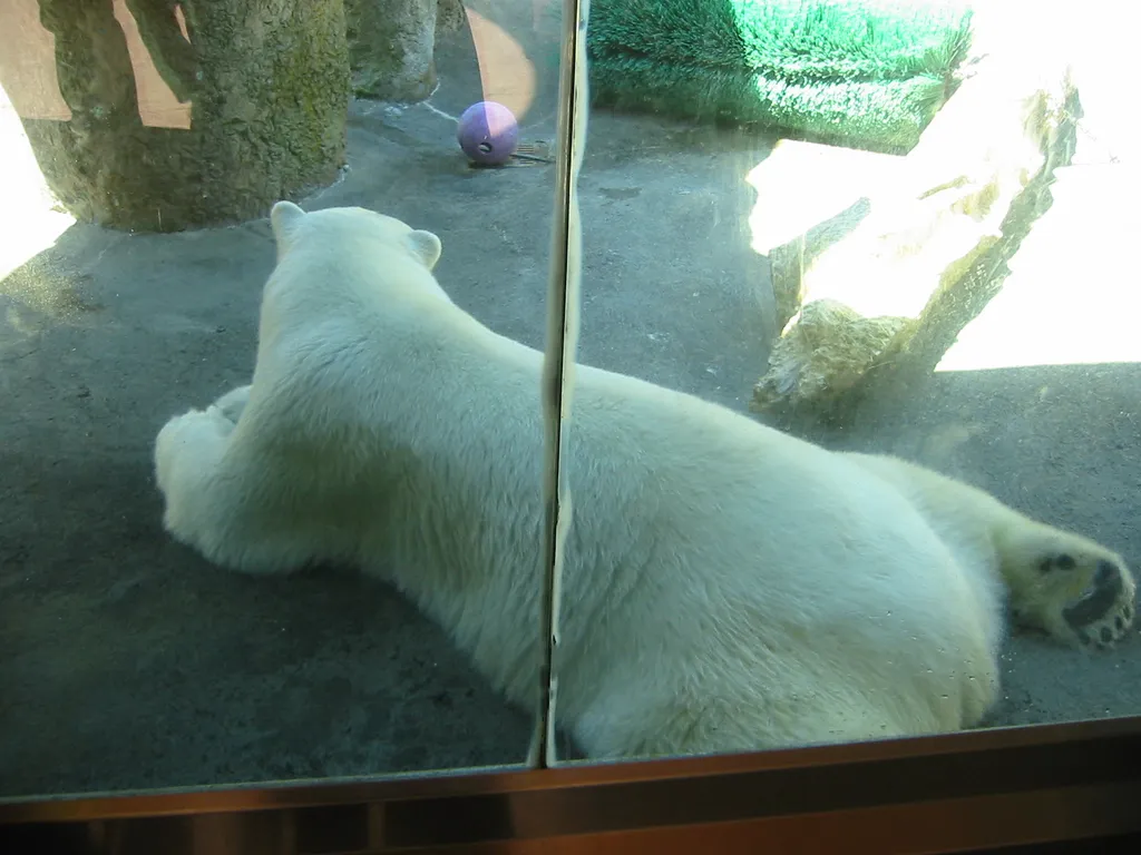 oscon 2003, polar_bear-3