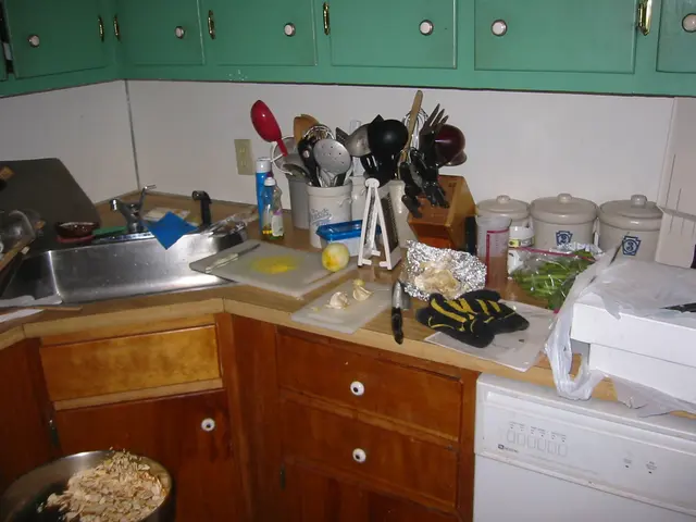 thanksgiving, 2003, The Kitchen
