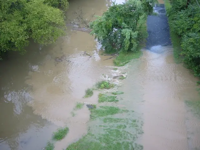 the flood, 2004, img_1842