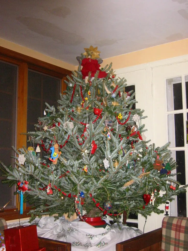 christmas, 2003, img_1038