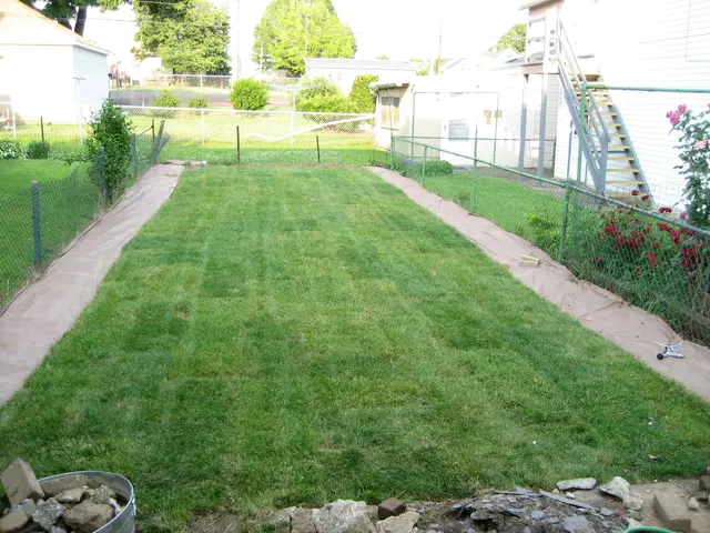 the first mowing