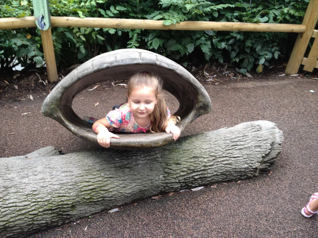 Turtle Princess
