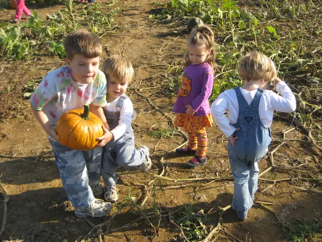 pumpkin pickin'