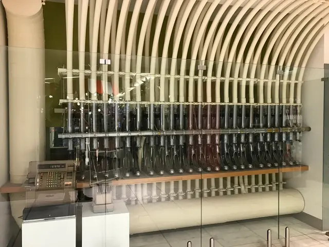 pneumatic bones