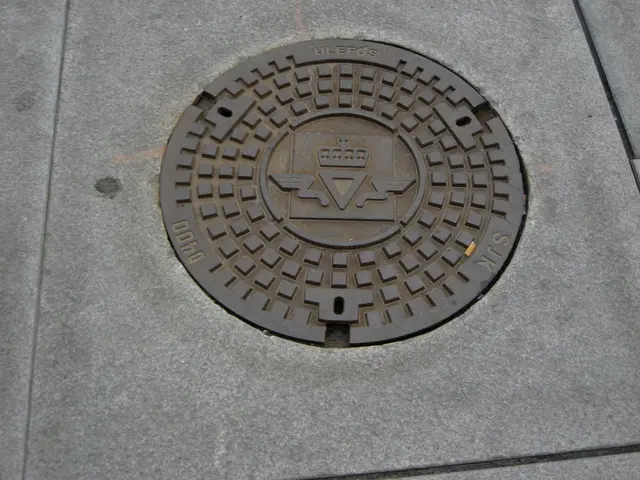manhole cover, design 2