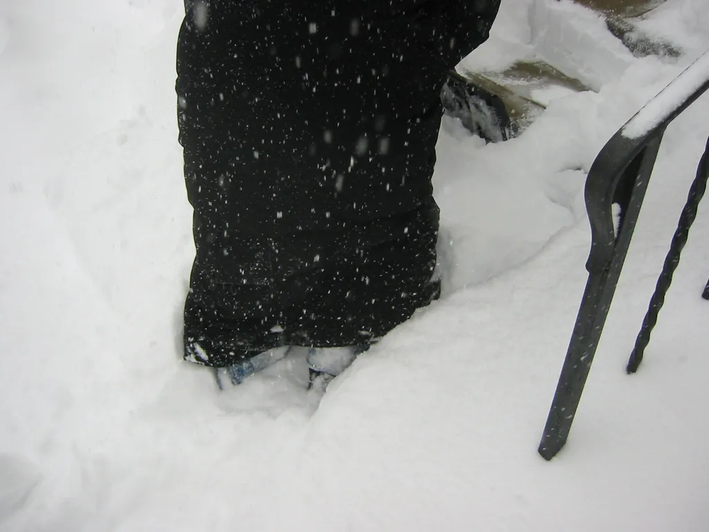 snowstorm, 2003-02, Gloria