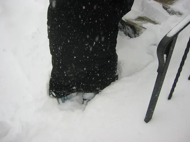 snowstorm, 2003-02, Gloria