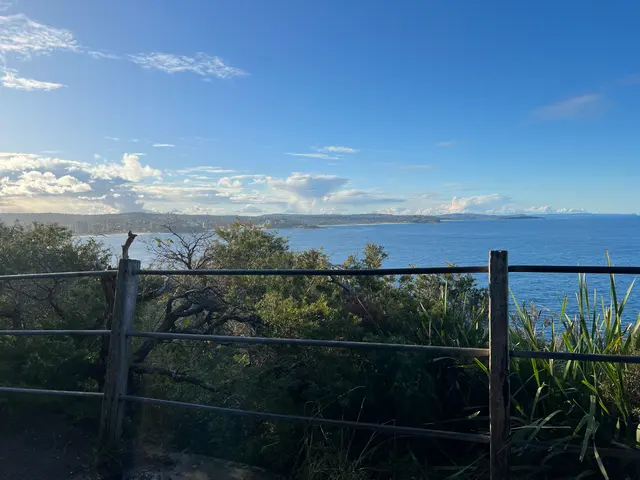 bushwalk