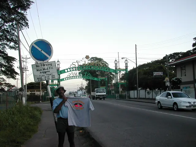 hedgehog shirt, Trinidad