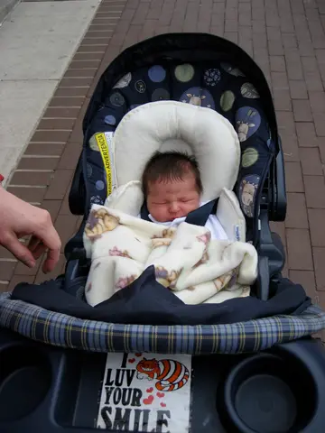 sleeping in the stroller