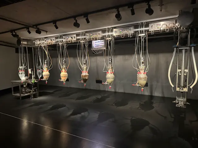 visiting MONA