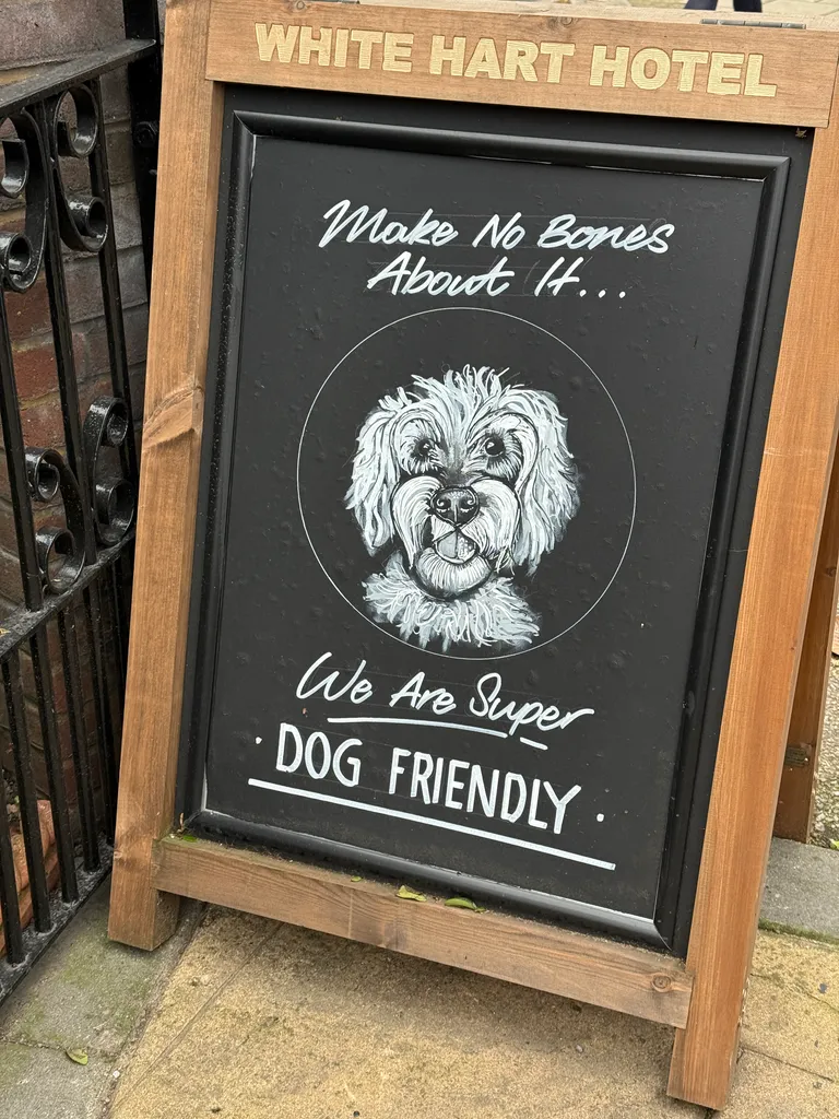 super dog friendly!