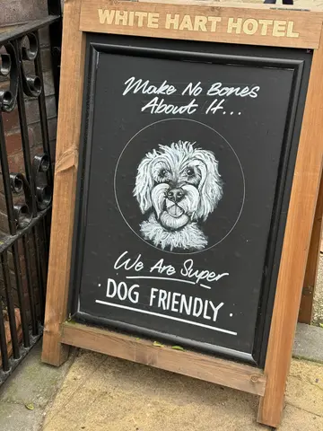 super dog friendly!