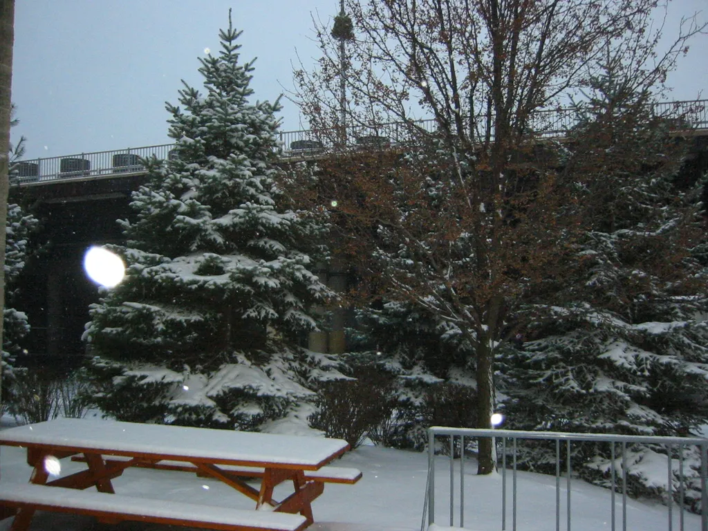 snowstorm, 2003-12, img_0991