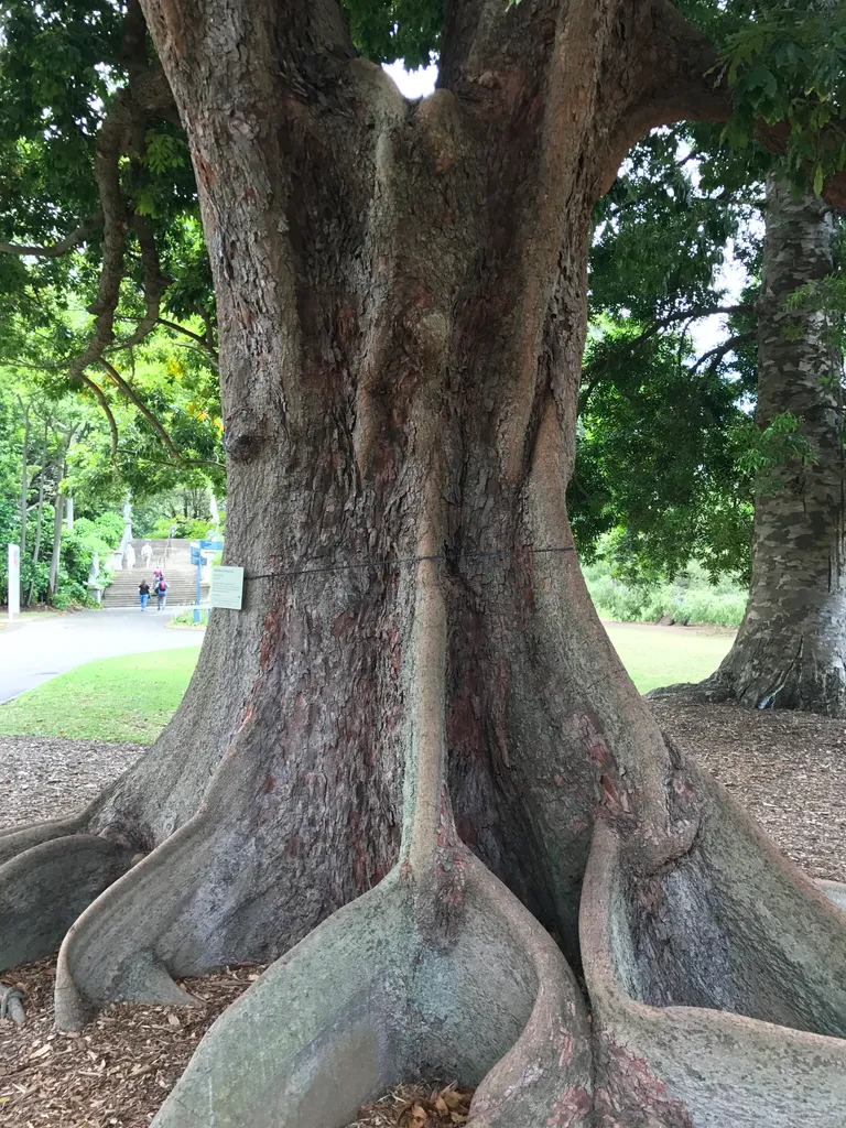 random awesome tree