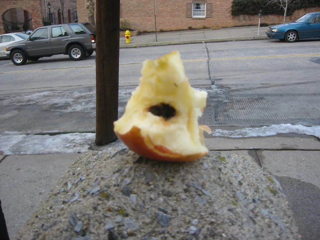 rotten apple