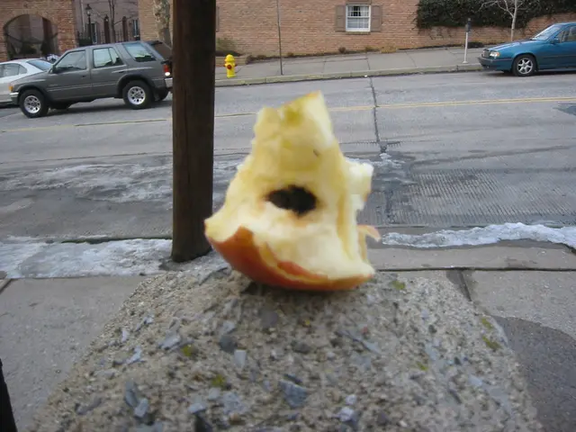 rotten apple