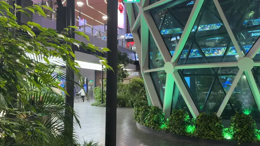 the Orchard at Doha