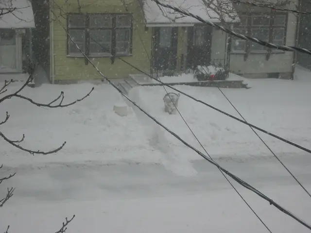 snowstorm, 2003-02, Center St